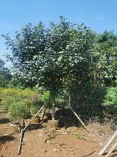 所有产品