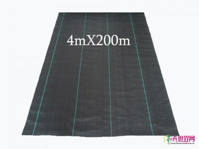 地布（4MX200m）